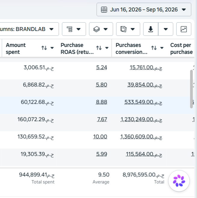 Meta Ads Results
